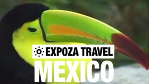 Read more about the article Mexico Vacation Travel Video Guide