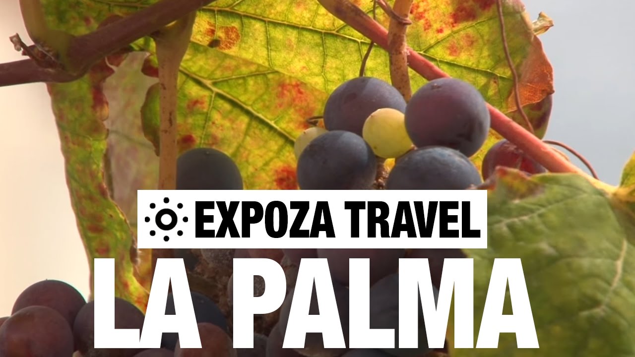 Read more about the article La Palma (Spain) Vacation Travel Video Guide