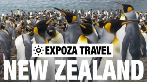 Read more about the article New Zealand Part 1 (Oceania) Vacation Travel Wild Video Guide