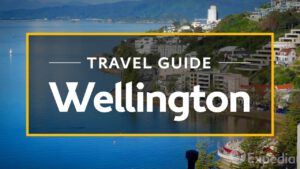 Read more about the article Wellington Vacation Travel Guide | Expedia