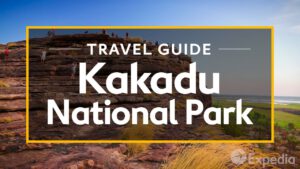 Read more about the article Kakadu National Park, Kakadu Vacation Travel Guide | Expedia