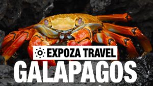 Read more about the article Galapagos Islands Vacation Travel Video Guide