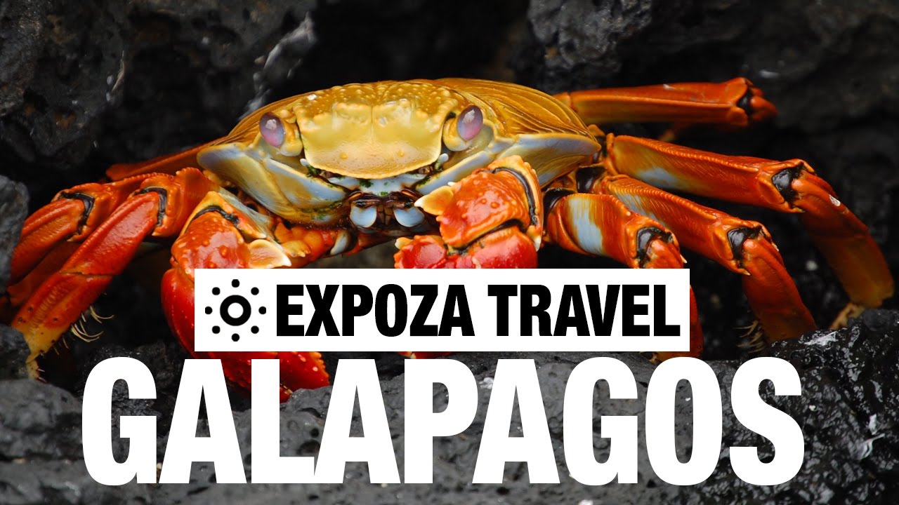 You are currently viewing Galapagos Islands Vacation Travel Video Guide