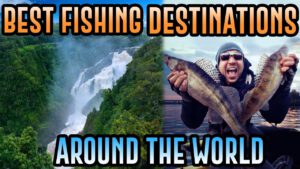 Read more about the article Best FIshing Destinations in the World