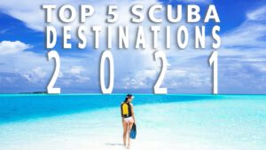 Read more about the article 5 GREAT Scuba Destinations for 2021 (If we can travel …)