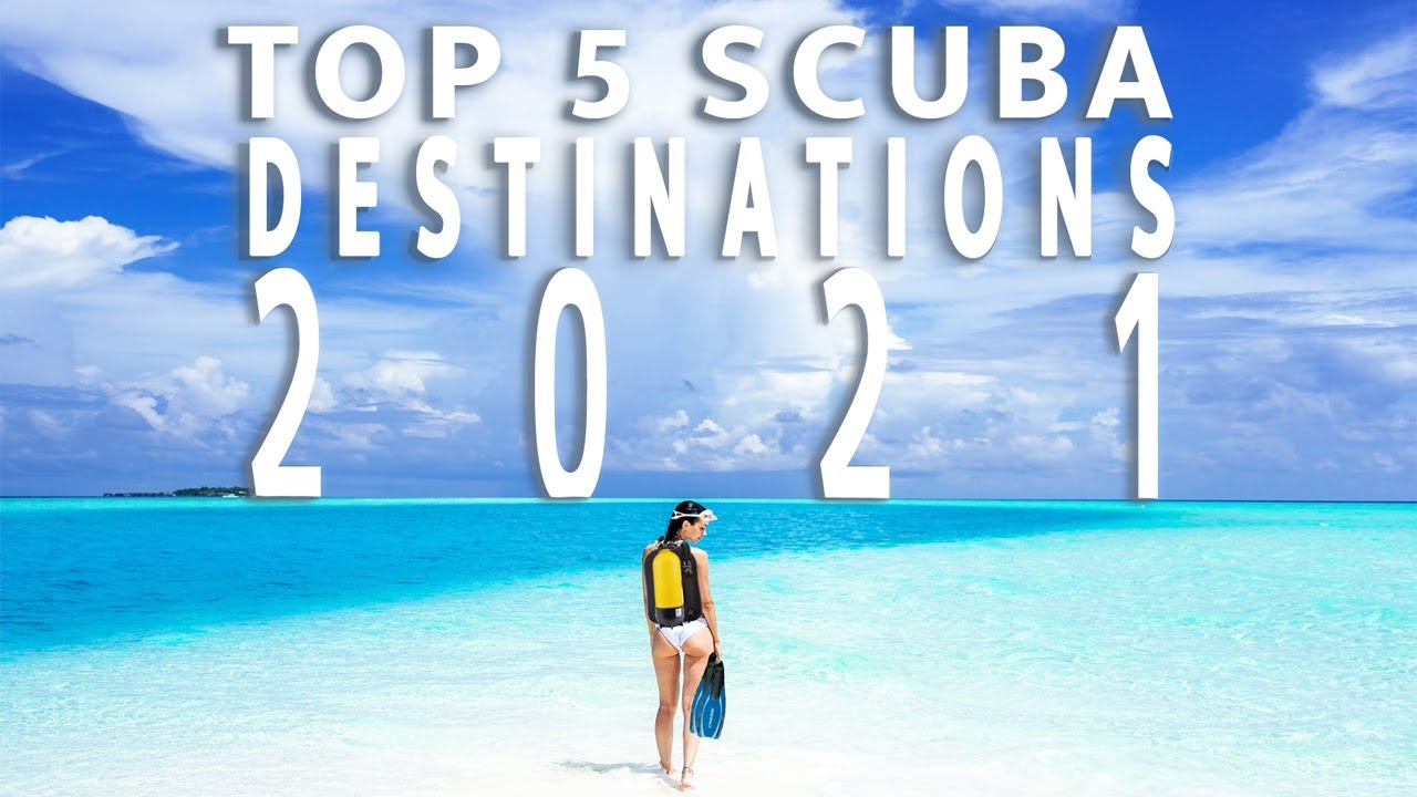 You are currently viewing 5 GREAT Scuba Destinations for 2021 (If we can travel …)