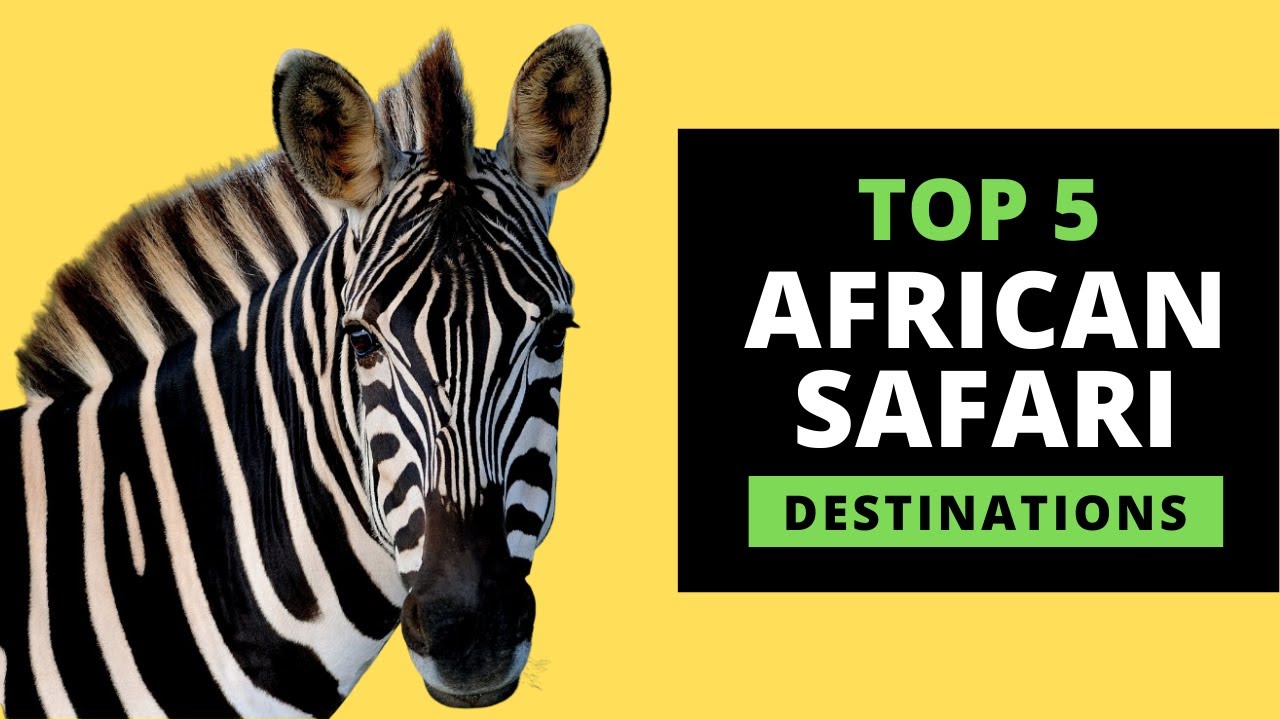 You are currently viewing AFRICAN SAFARI DESTINATIONS – Top 5 Most Popular (with prices)