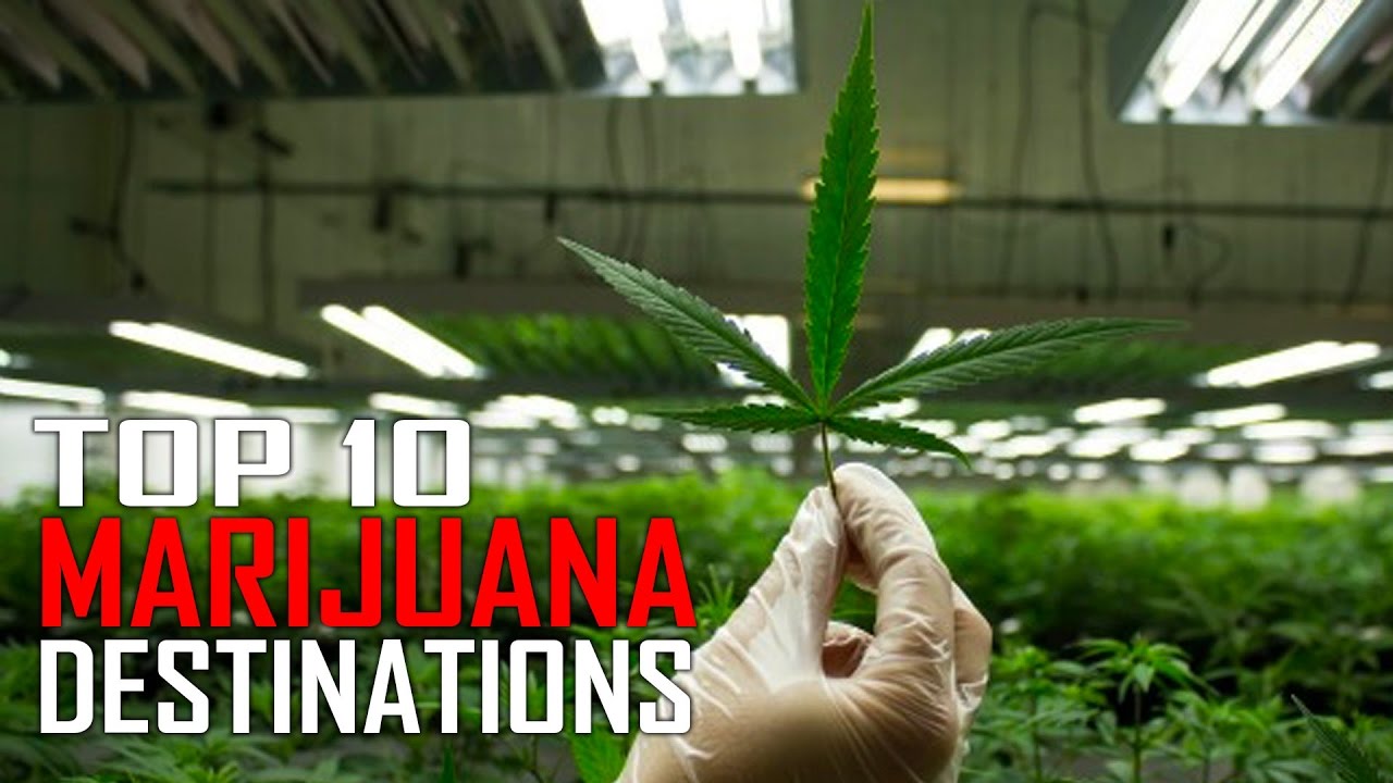 You are currently viewing Top 10 Marijuana Travel Destinations