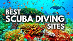 Read more about the article 10 BEST Scuba Diving CARIBBEAN Destinations 2023 | Traveling Guide