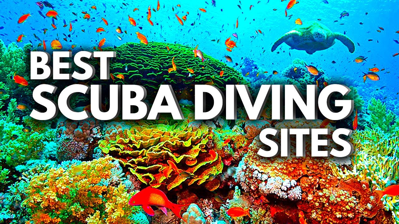 You are currently viewing 10 BEST Scuba Diving CARIBBEAN Destinations 2023 | Traveling Guide