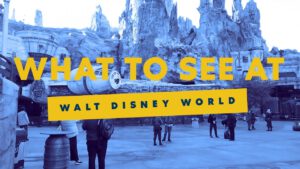 Read more about the article What to See at Walt Disney World | Expedia