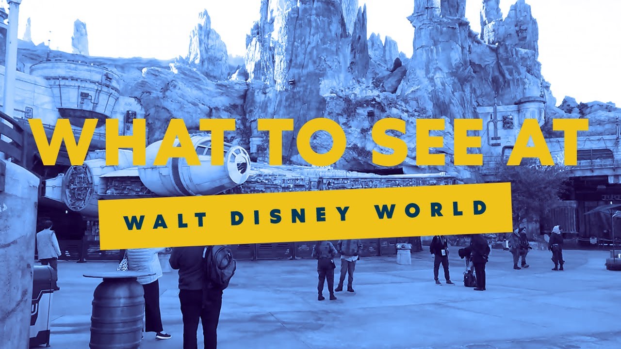 You are currently viewing What to See at Walt Disney World | Expedia