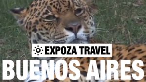 Read more about the article Buenos Aires Vacation Travel Video Guide