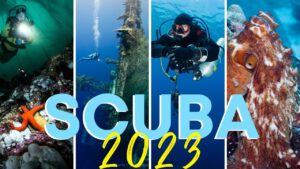 Read more about the article Top 5 Scuba Destinations of 2023