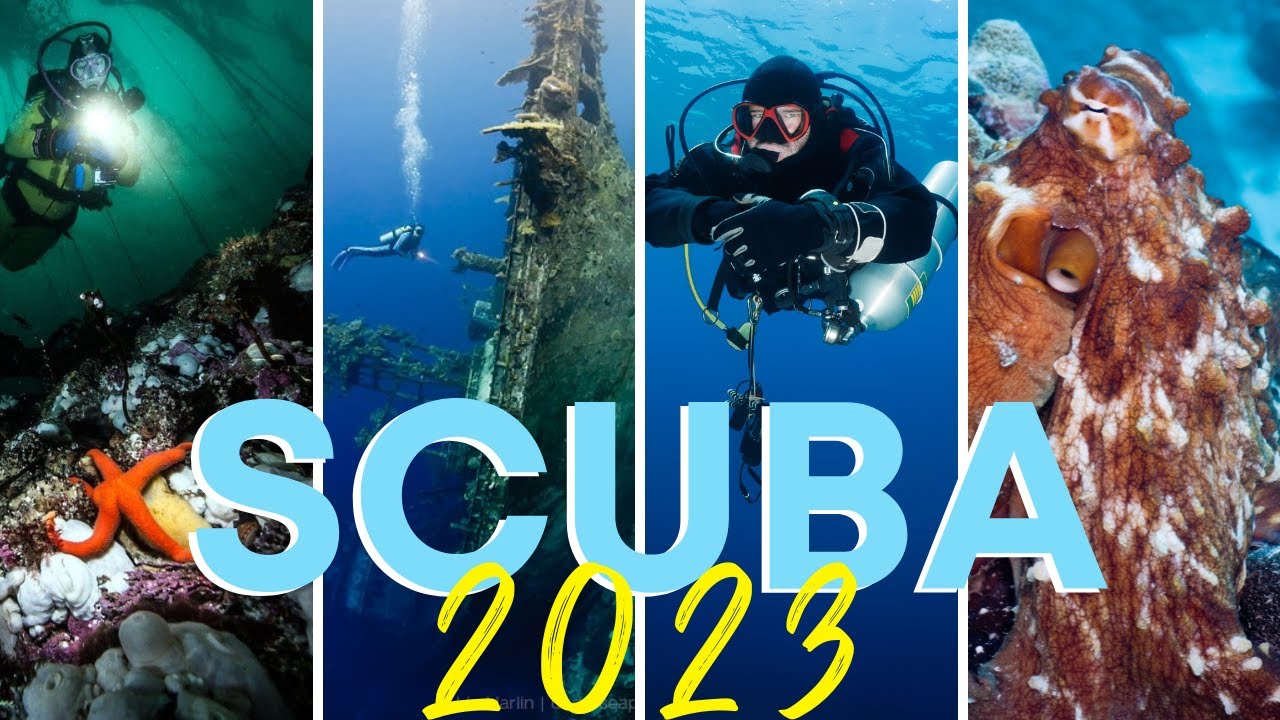 Read more about the article Top 5 Scuba Destinations of 2023