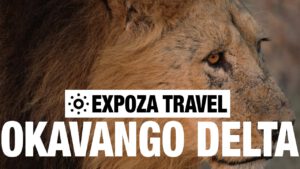 Read more about the article Okavango Delta Vacation Travel Video Guide